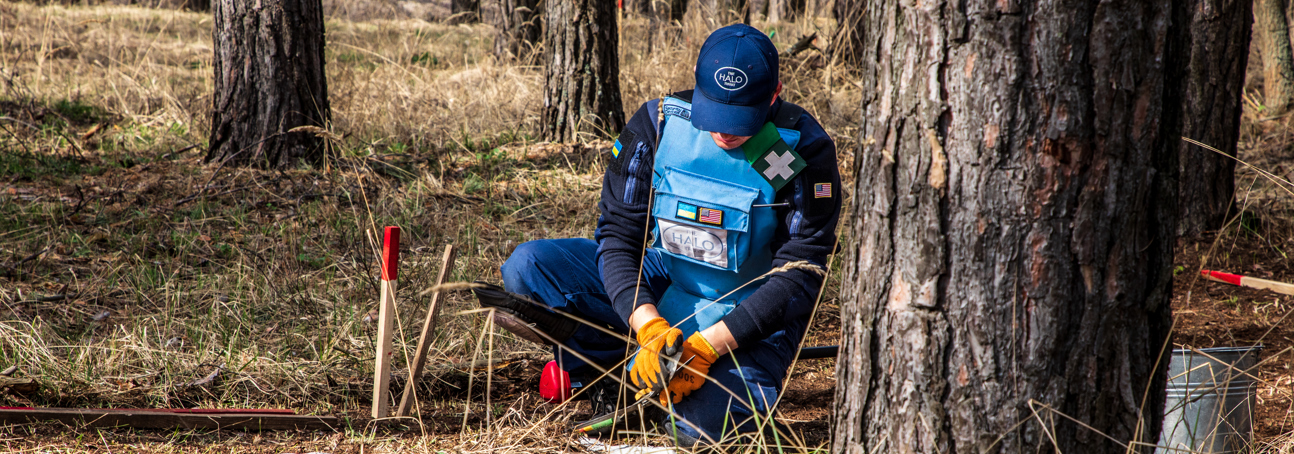 A deminer uses tools next to mine marking sticks in Chkalovske minefield