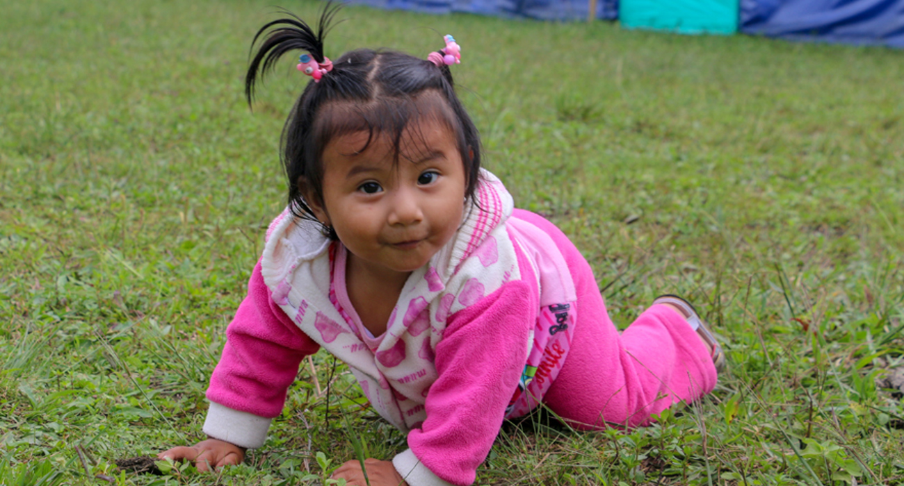 A baby in a pink outfit crawls on the grass