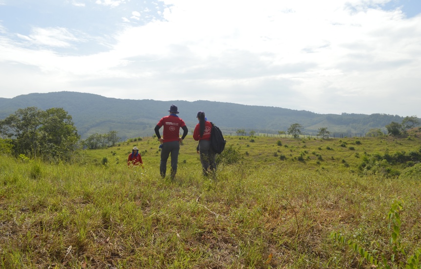 Three HALO staff members stand on a field looking into the distance