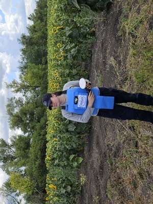 A deminer stands in front of a field of sunflowers while holding a Trimble device