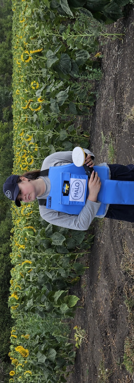 A deminer stands in front of a field of sunflowers while holding a Trimble device