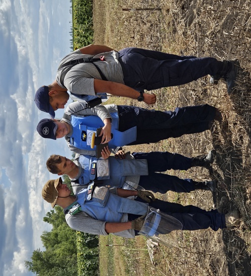 Deminers wearing PPE stand in a sunflower field while holding a Trimble device