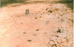 A dirt road in Cambodia heavily contaminated with mines 