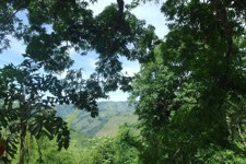 View from the school, as taken by a young pupil