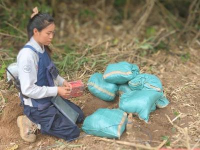 A women kneels on the soil next to multiple green bags to identifying mines