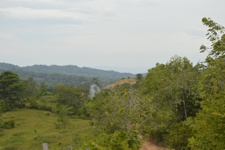 A view of trees and a small field in the Colombian countryside