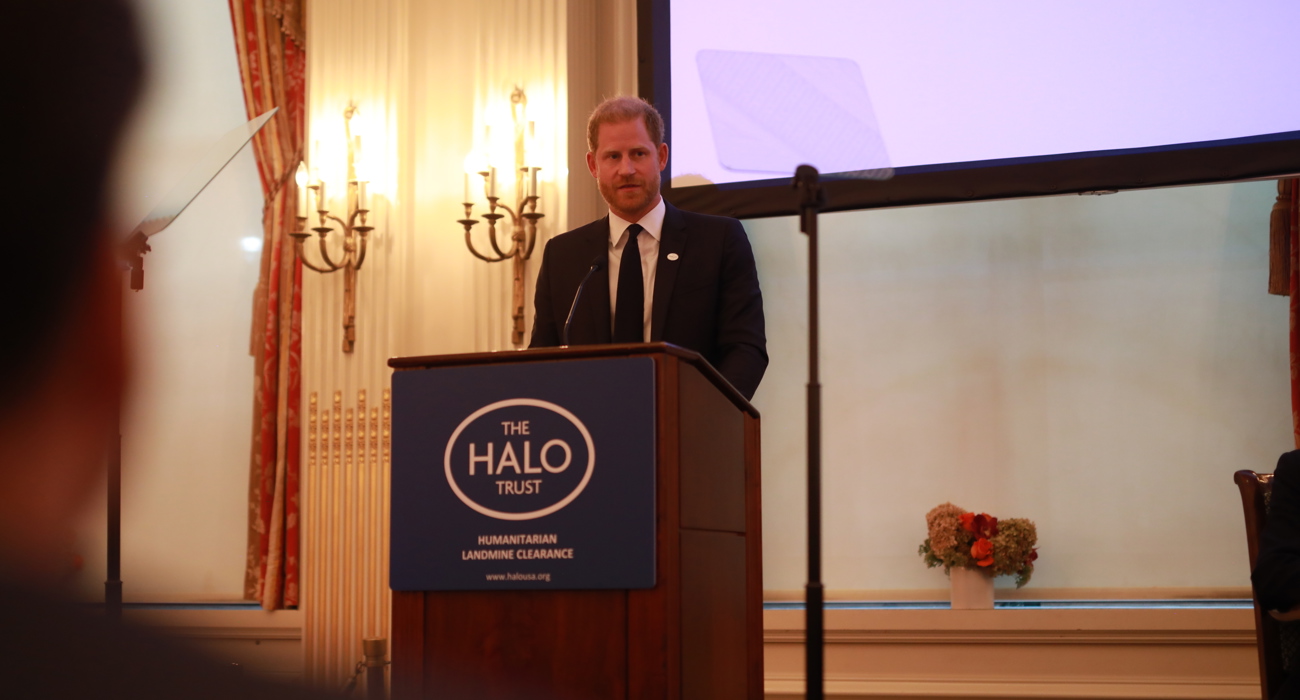 Prince Harry speaks at event at the UN with Angolan Foreign Minister