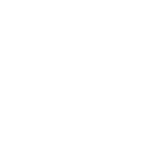 Gun icon