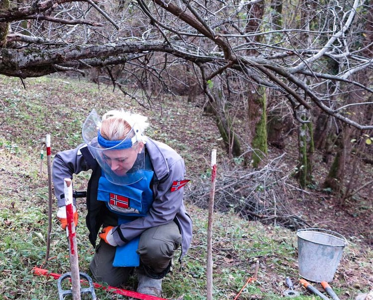 A deminer carefully uses a detector in woodland in Lindava village