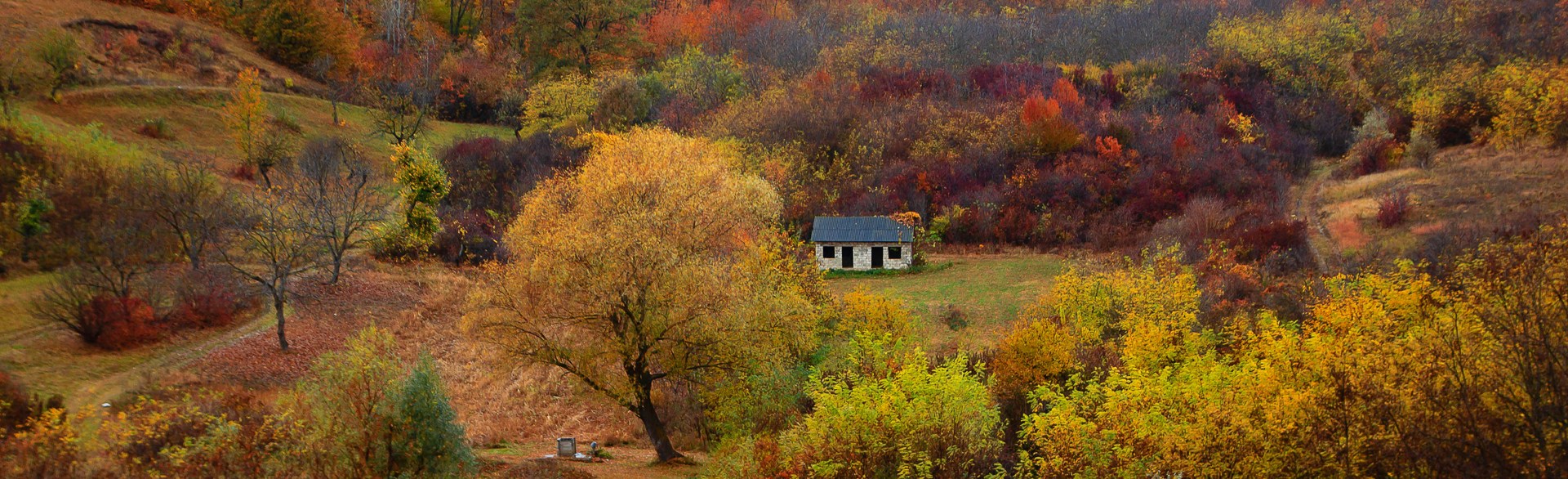 Autumnal trees in the Moldovan countryside