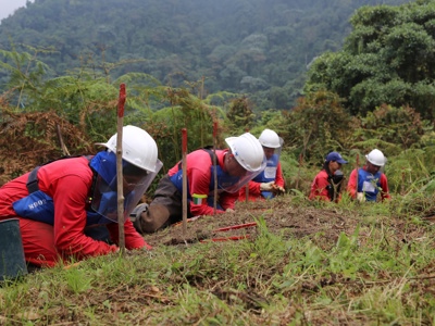 A group of deminers wearing PPE carry out demining activities around marked mines
