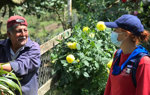 A man tends to plants outside whilst talking with a HALO staff member