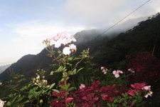 View from the school in Mesones, taken by a young pupil
