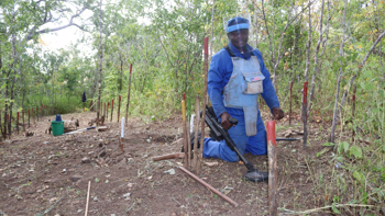 House budget includes $271 million for humanitarian demining
