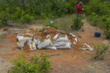 Bags of soil lay on the ground while a HALO staff member works on a wire in the background