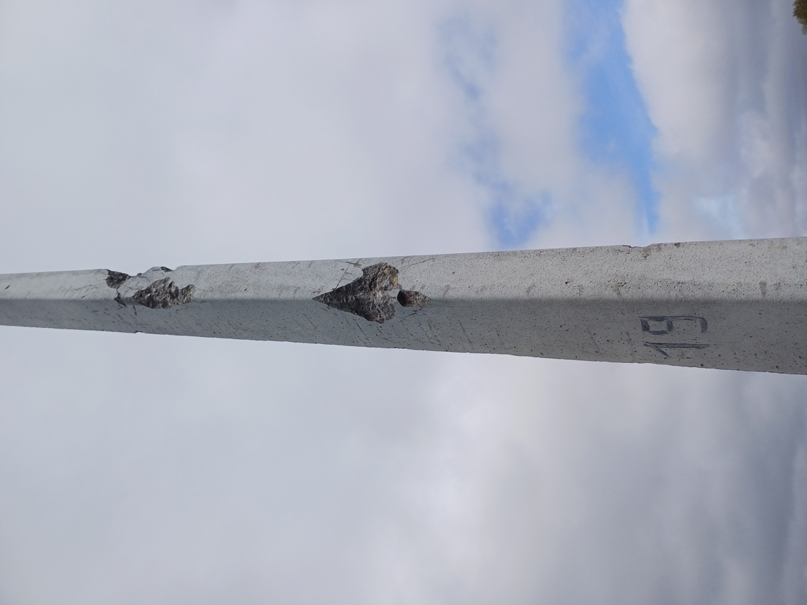 Visible damage on an electricity pole in Ivan's garden