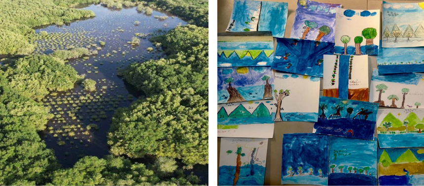 Left: Mangrove restoration in El Salvador. Right: Childrens drawings of the Mangrove Restoration Project