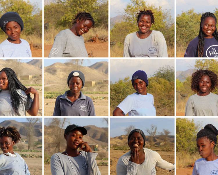 A collage of portraits from women in Angola