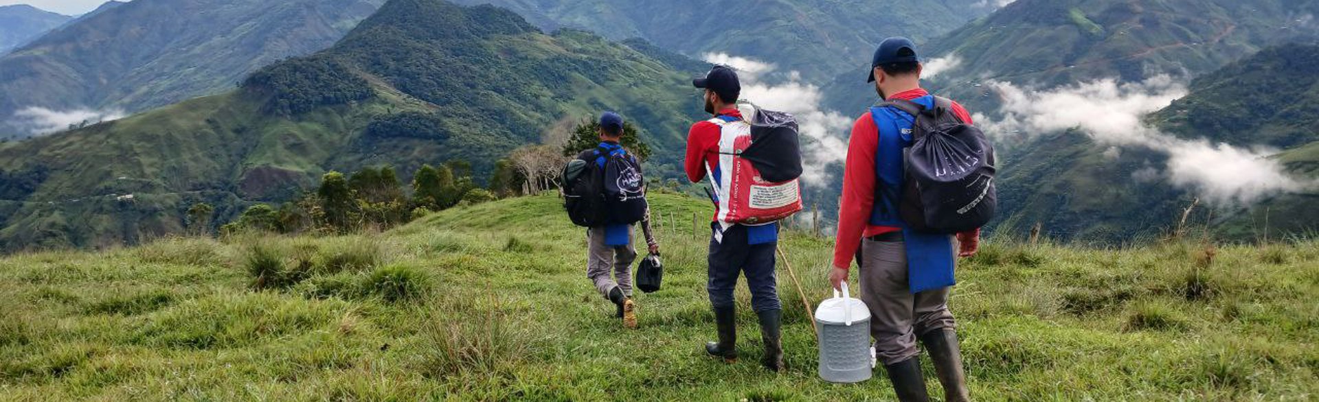 Three deminers walk through a field with mountains surrounding them