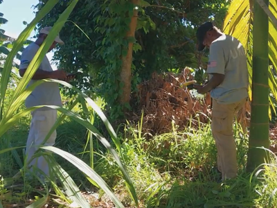 Two HALO staff members stand in thick tall grass holding surveying devices