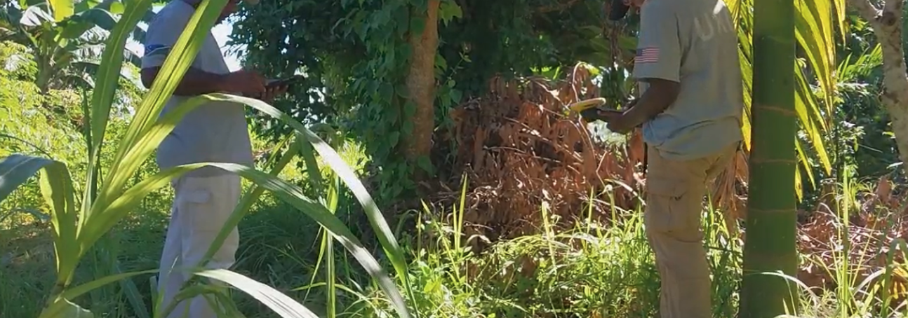 Two HALO staff members stand in thick tall grass holding surveying devices
