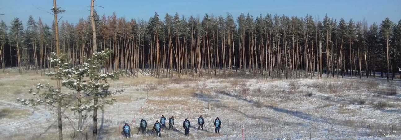 A team of deminers begin battle area clearance in a snowy minefield, with a forest in the background