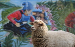 Coco the sheep in Cauca Valley, Colombia