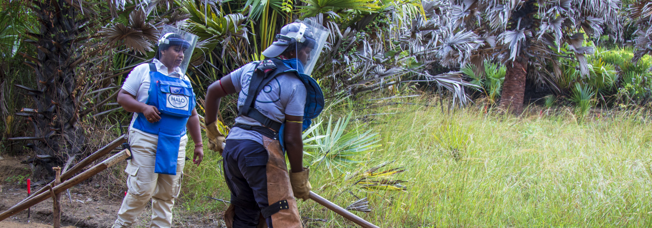 Task commander Thilay, uses a rake on the soil