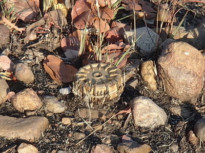 A VS 50 anti personnel blast mine lying on the surface