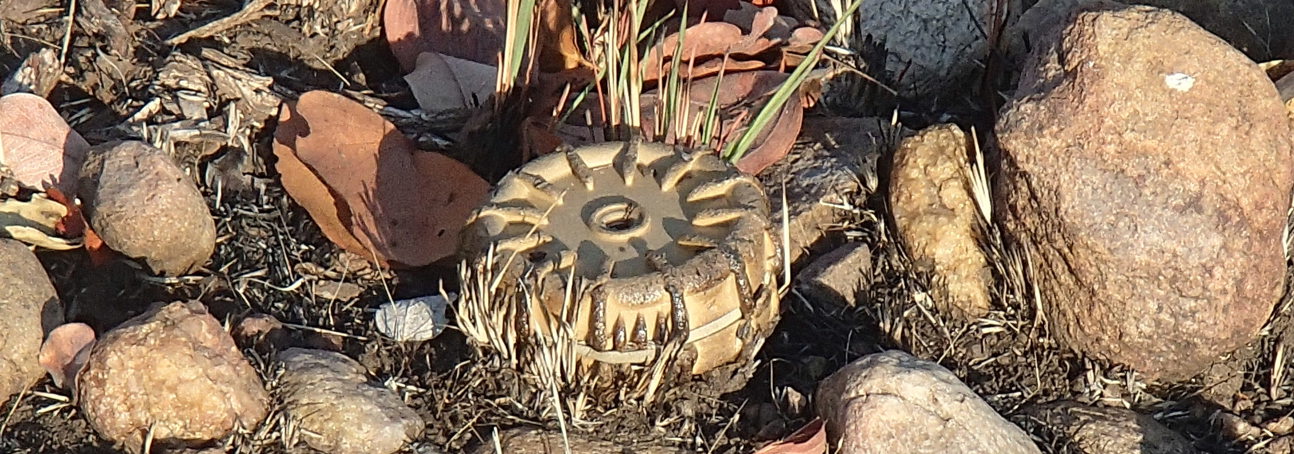 A VS 50 anti personnel blast mine lying on the surface