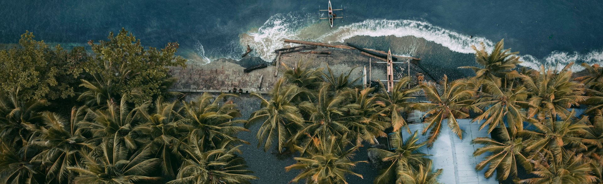 Aerial view of forest and ocean in Papua New Guinea
