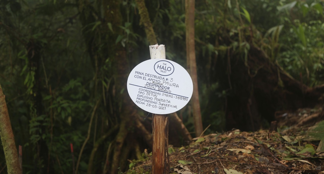A Halo sign marking landmines
