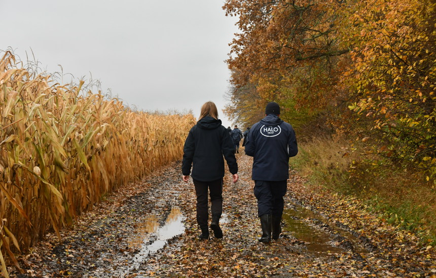 HALO staff members walk on a path next to a crop field