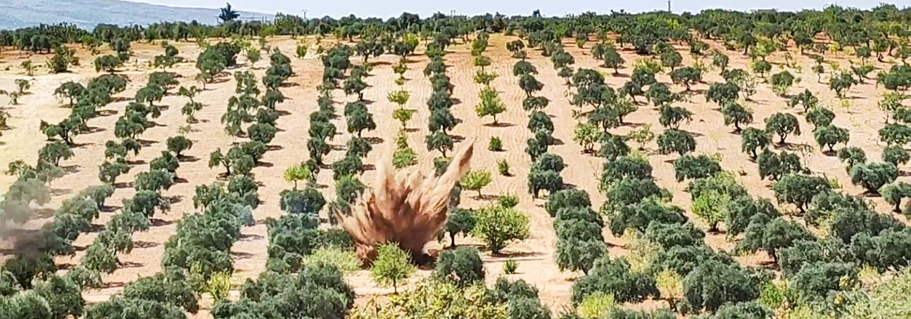 An explosion amongst trees in Syria 