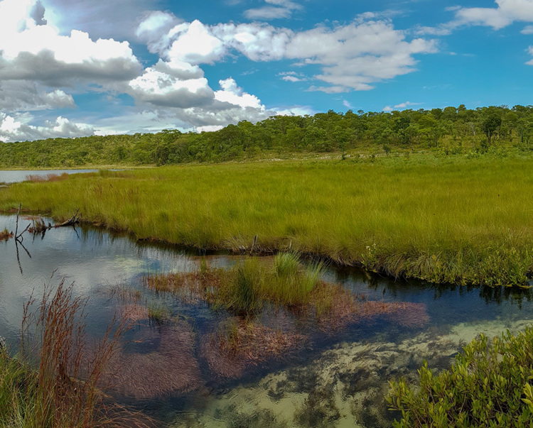 The landscape of the Okavango River, with clear water cutting through the green hills