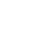 Bullet icon