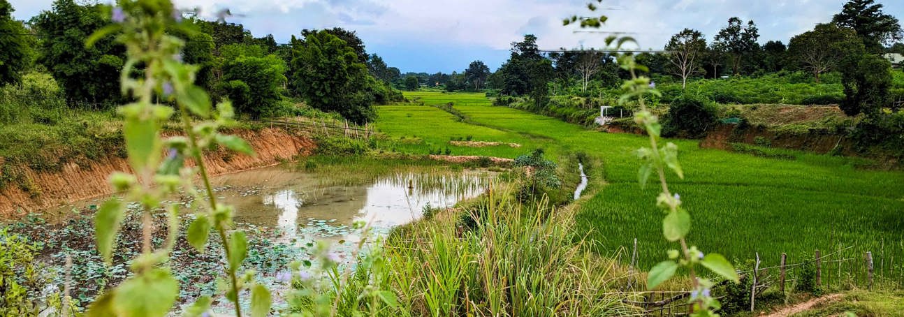 A scenic view of the nature and farm fields in Laos