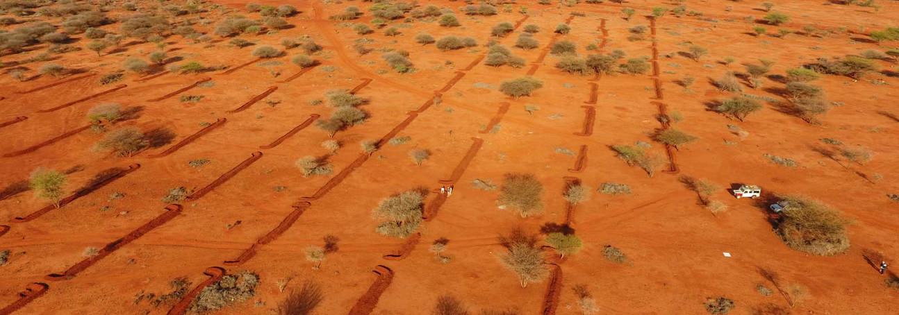 A drone image of a soil restoration project in a former minefield in the Horn of Africa